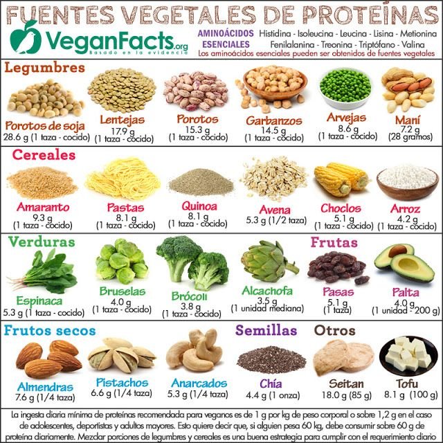 10 Alimentos Ricos En Proteinas