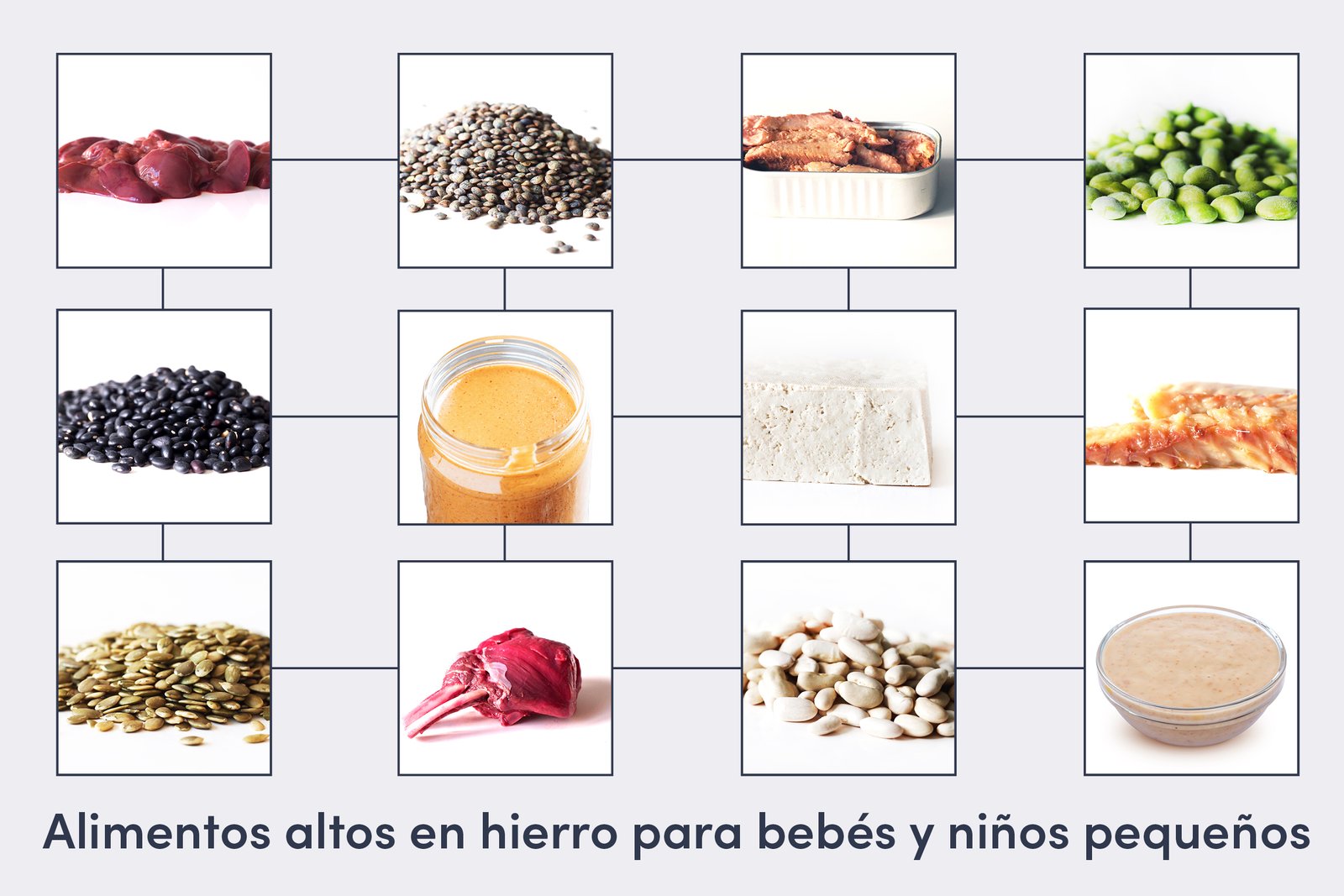 Alimentos Ricos En Hierro Para La Anemia