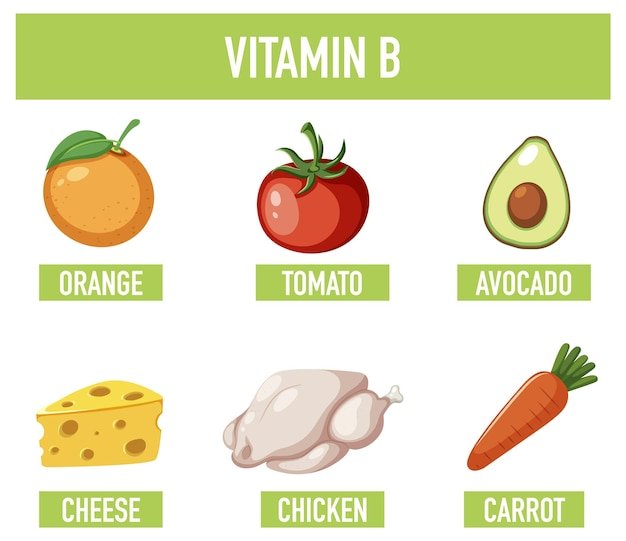 Que Alimentos Tienen Vitaminas B12